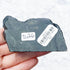 Chrysanthemum Stone Specimen D26