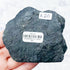 Chrysanthemum Stone Specimen A20