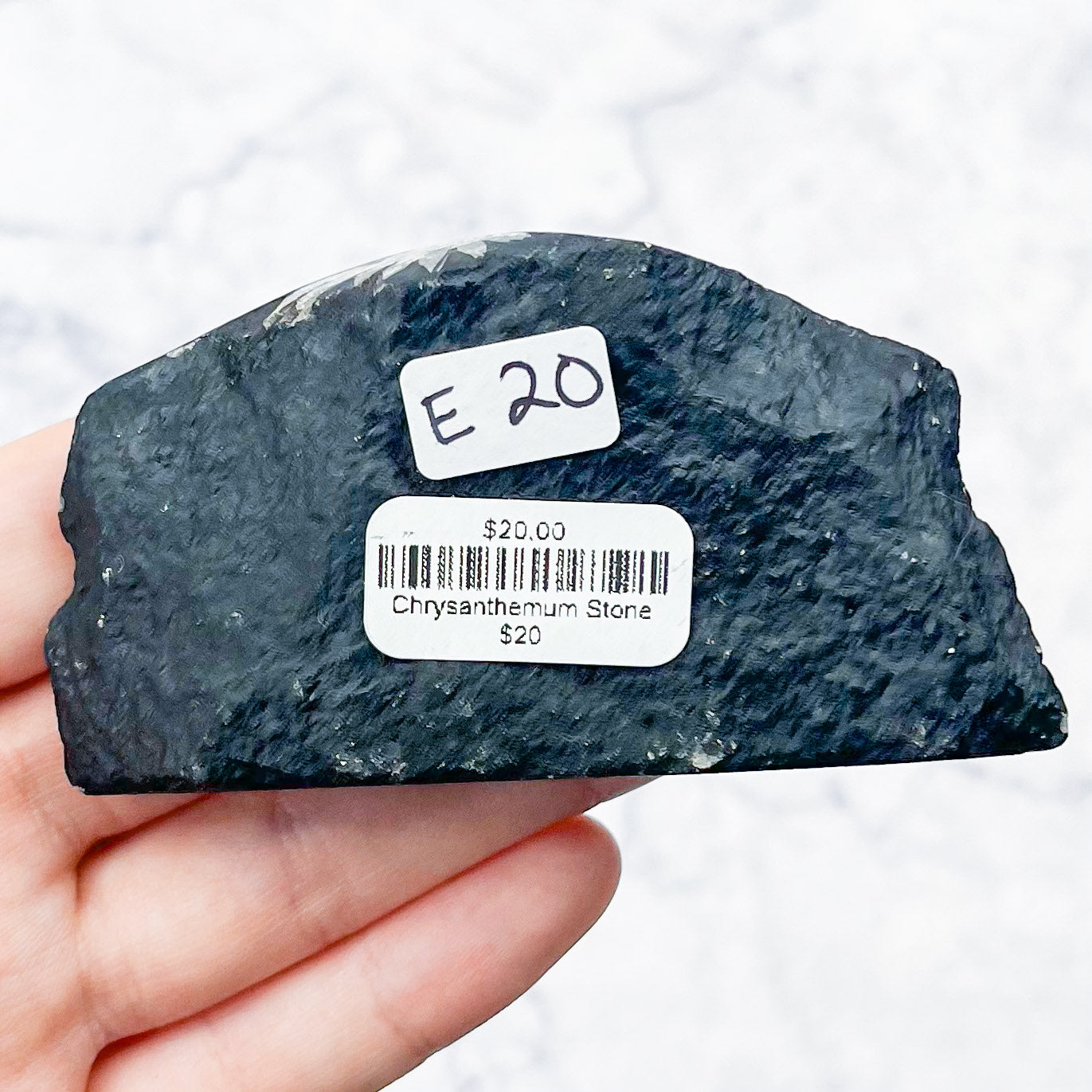 Chrysanthemum Stone Specimen E20