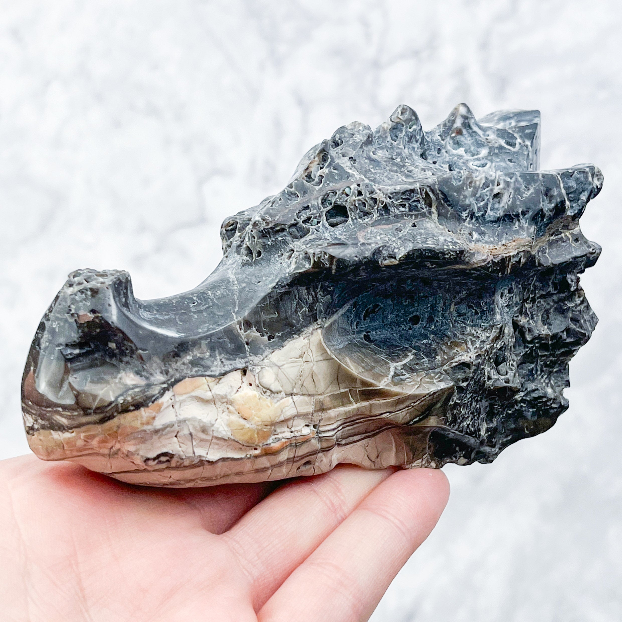 Petrified Wood Dragon Skull C130