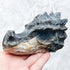 Petrified Wood Dragon Skull C130