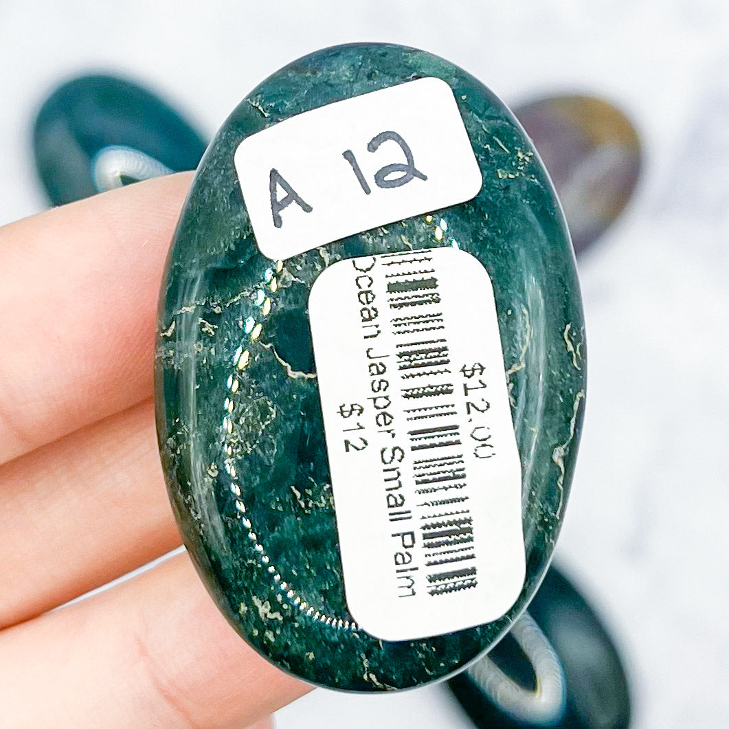 Green Ocean Jasper Small Palmstone $12