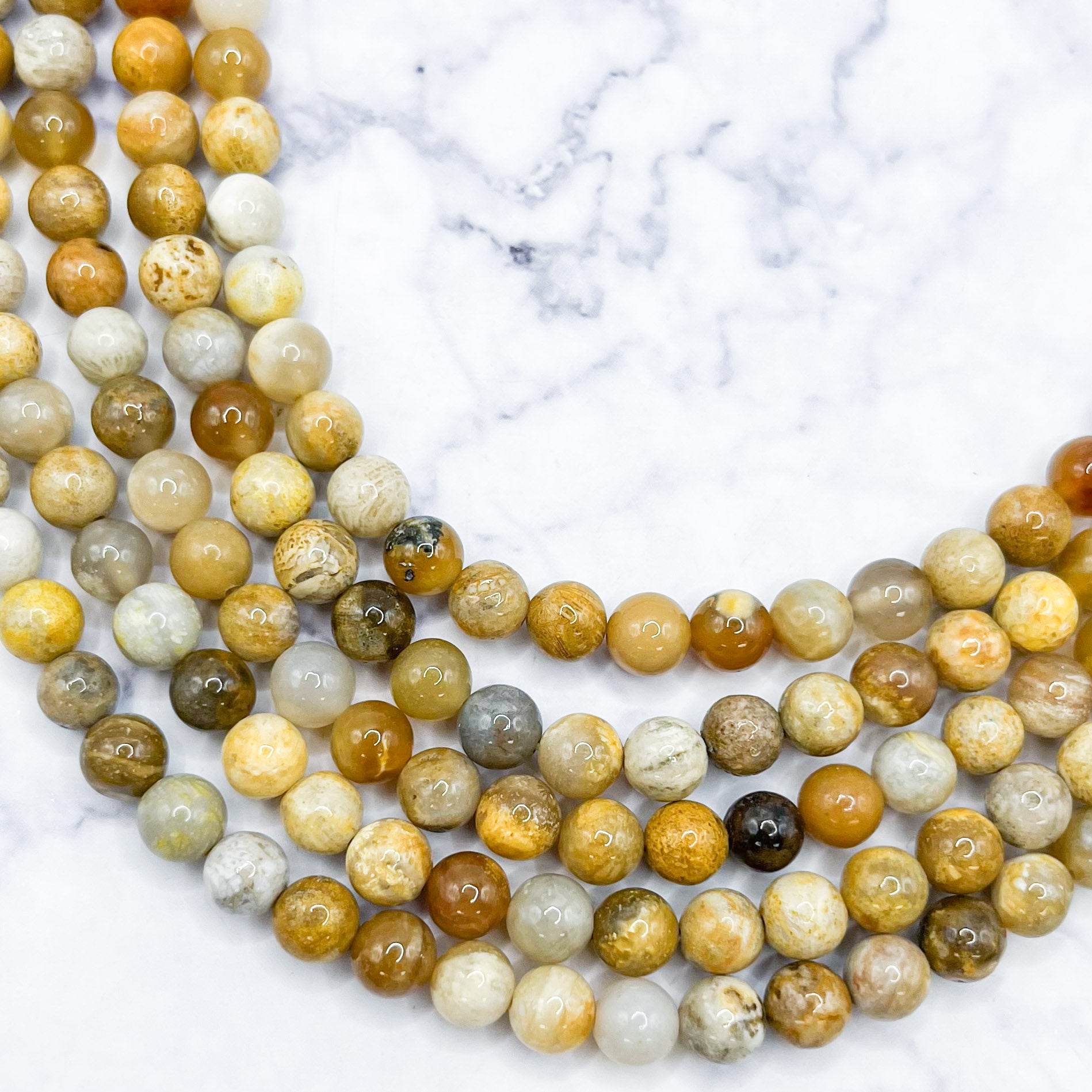 6mm Fossilized Coral Bead Strand E11