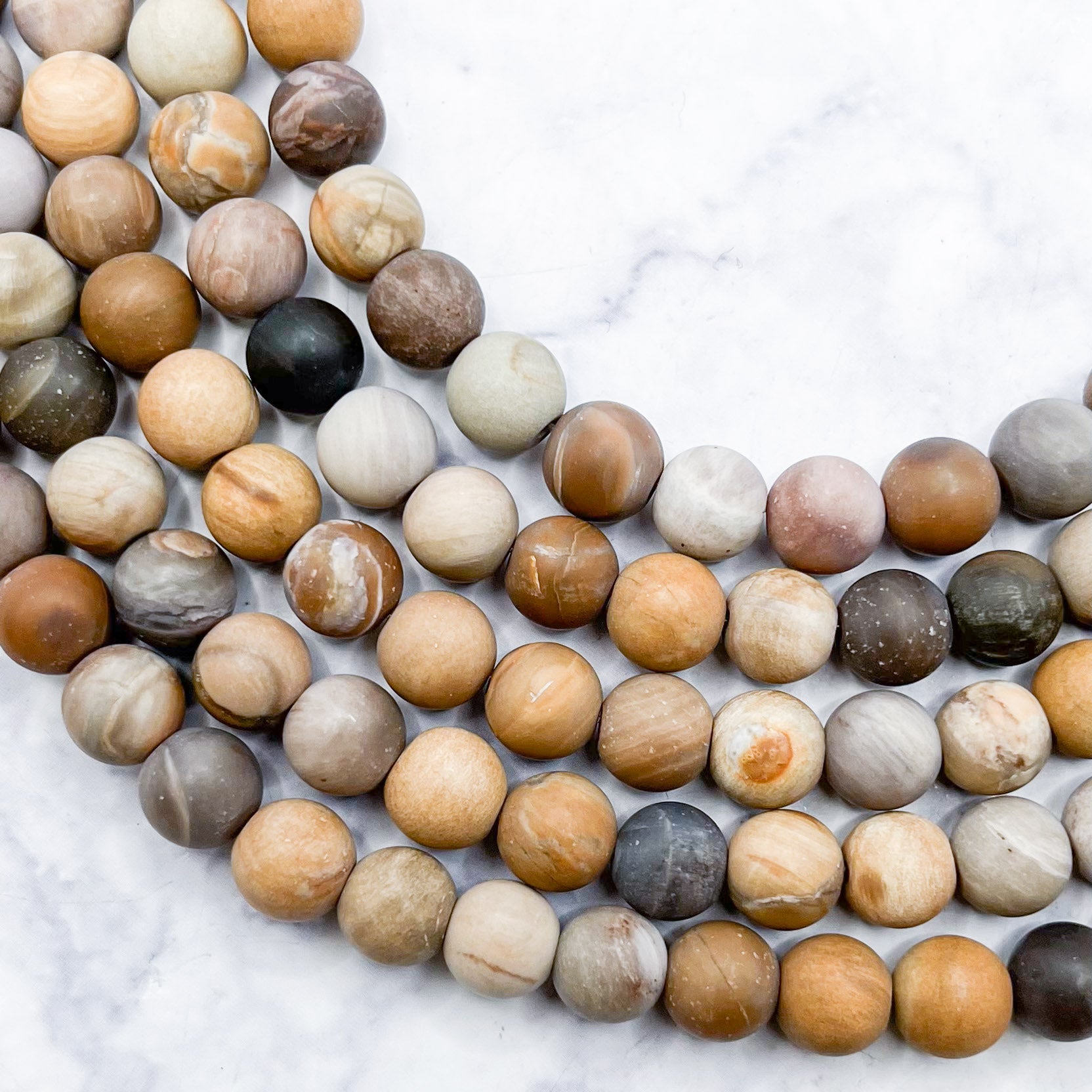 8mm Frosted Petrified Wood Bead Strand N20