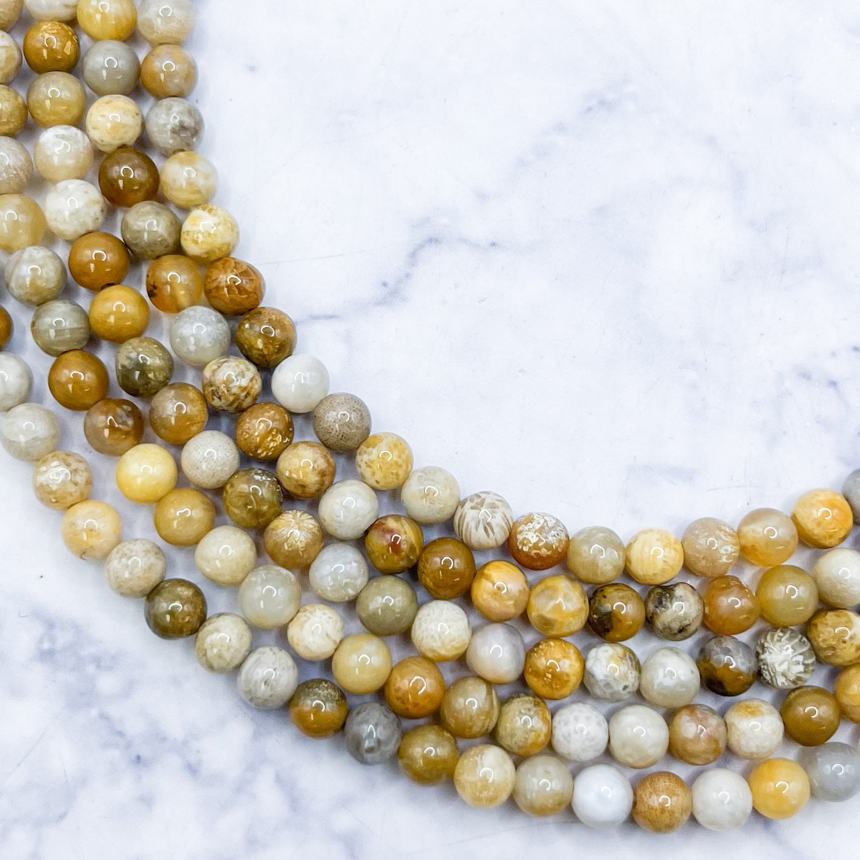 4mm Fossilized Coral Bead Strand D8