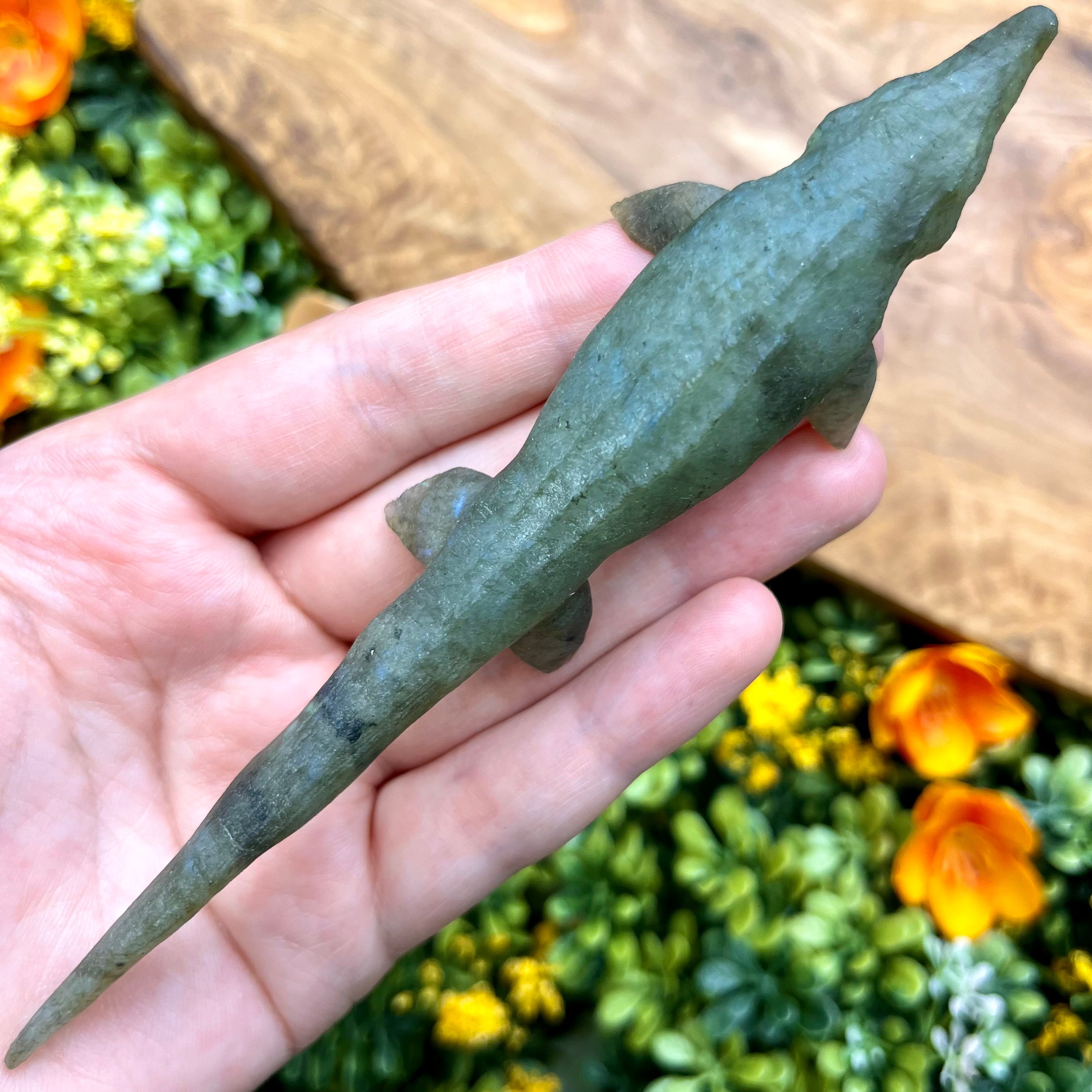 5.5 Inch Labradorite Mosasaur A54