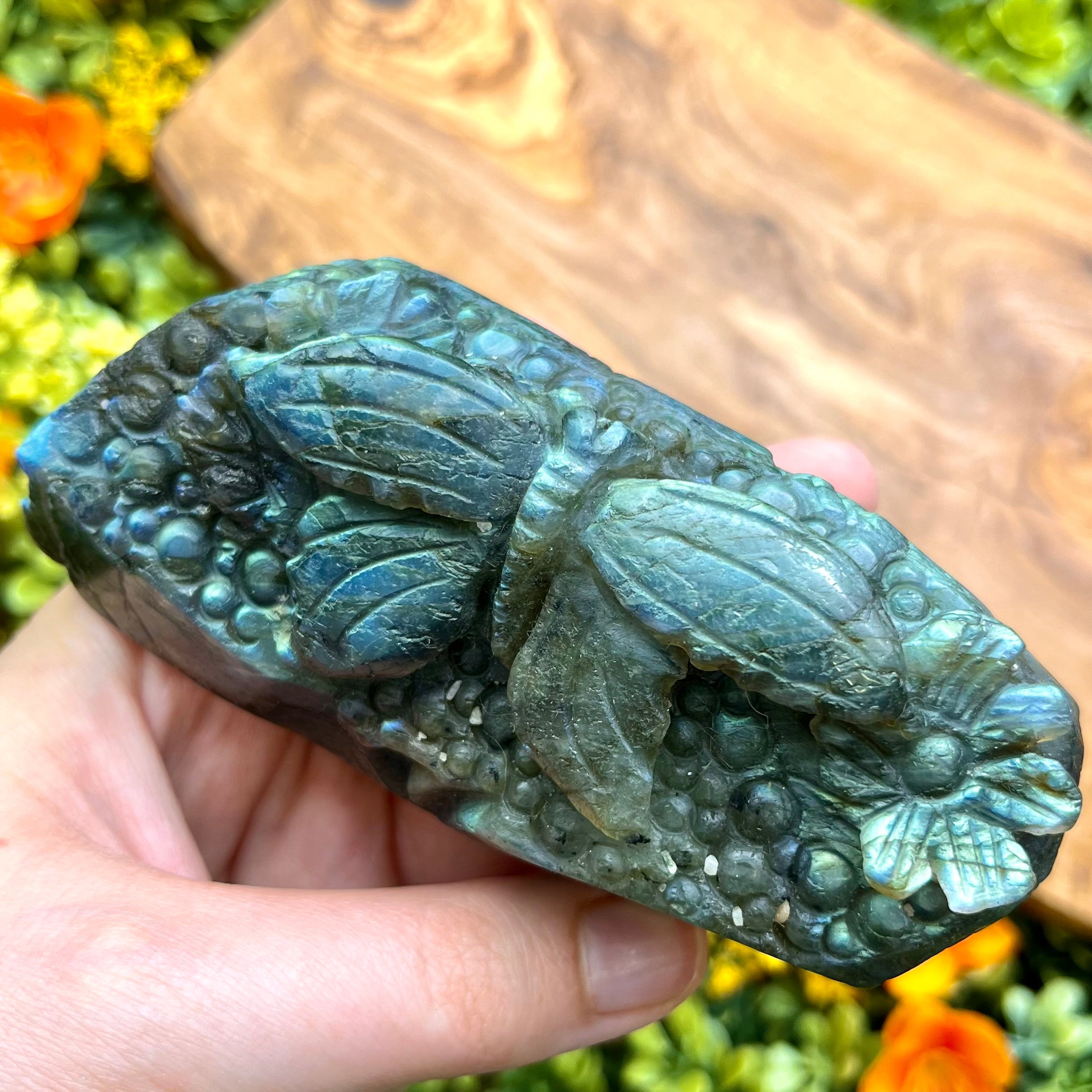 4 Inch Labradorite Butterfly Carving S118