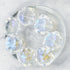 11x12mm Clear AB Glass Paw Print Bead Pack (10 Beads) G3
