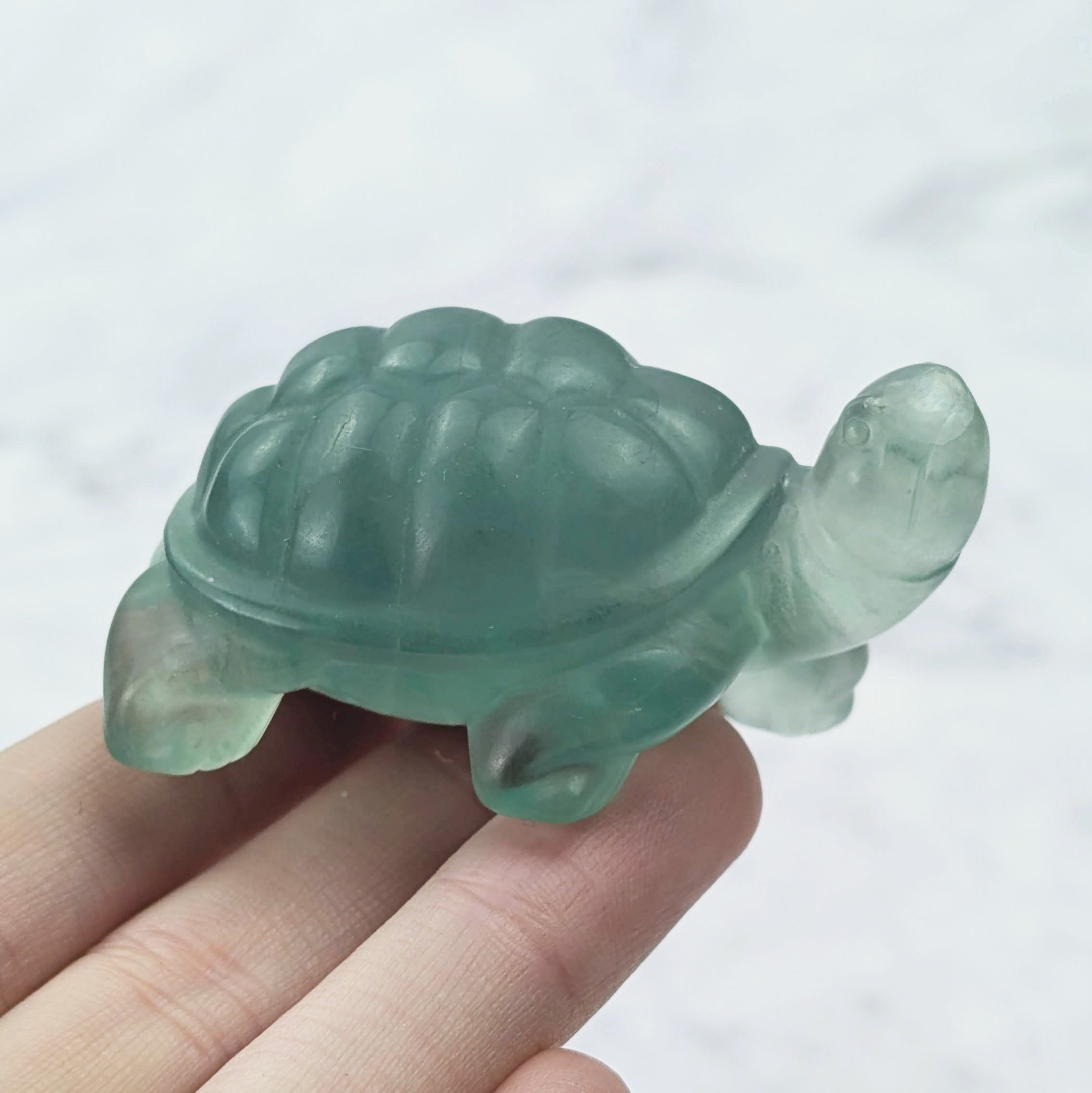 2.25 Inch Fluorite Turtle Carving W44