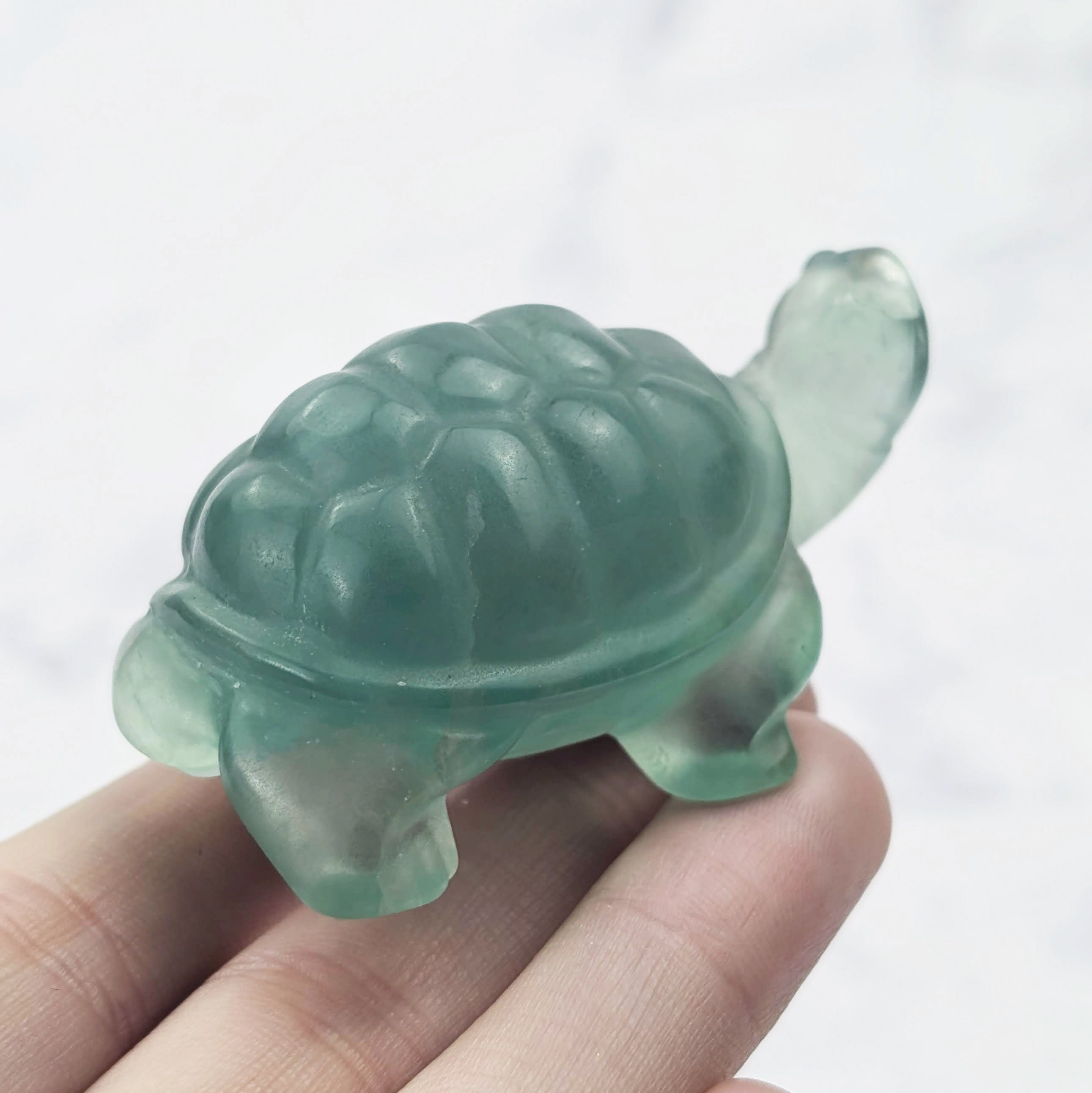 2.25 Inch Fluorite Turtle Carving W44