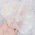 Rose Quartz Shell Bowl B43