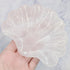 Rose Quartz Shell Bowl G50