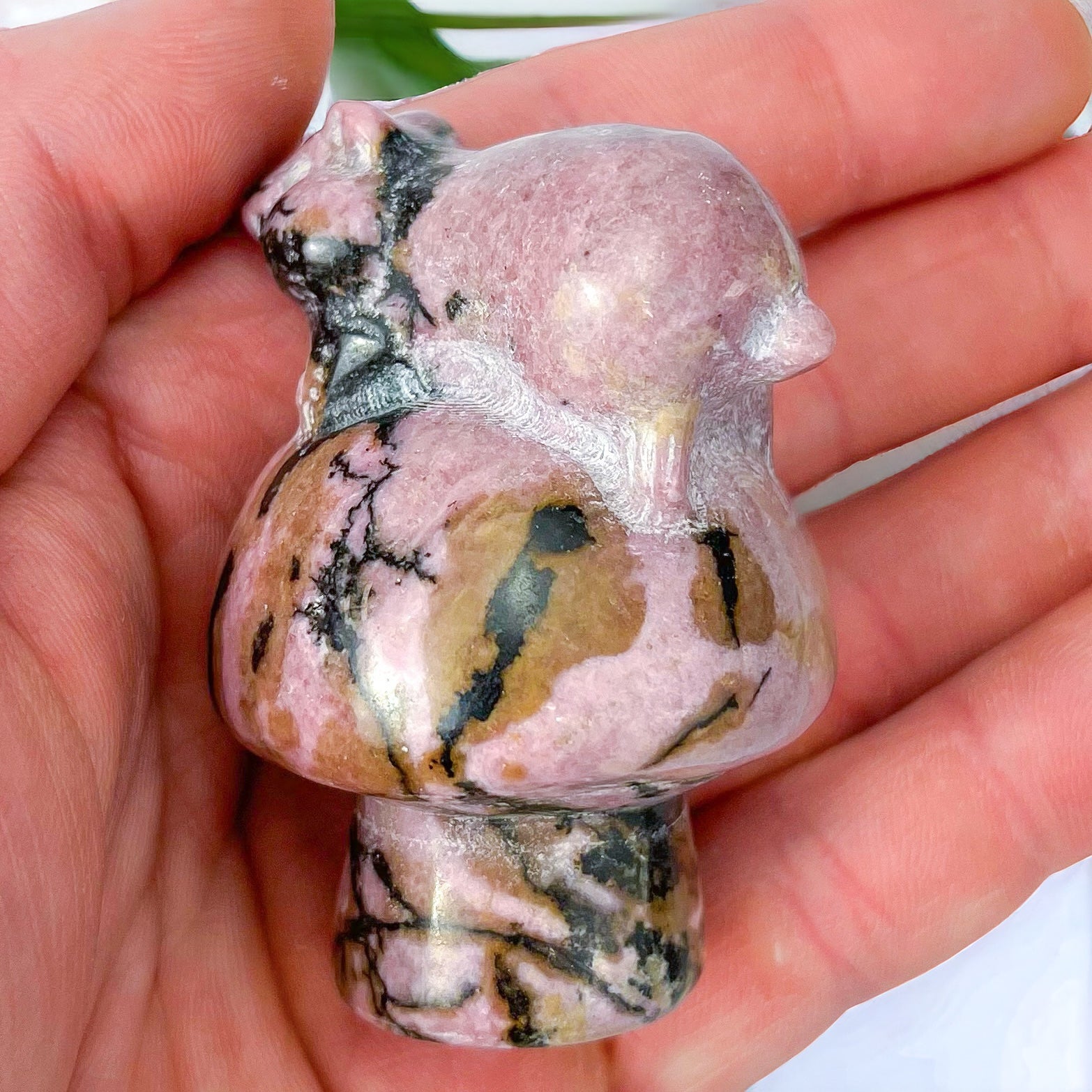 2.25 Inch Rhodonite Hamster Mushroom X52