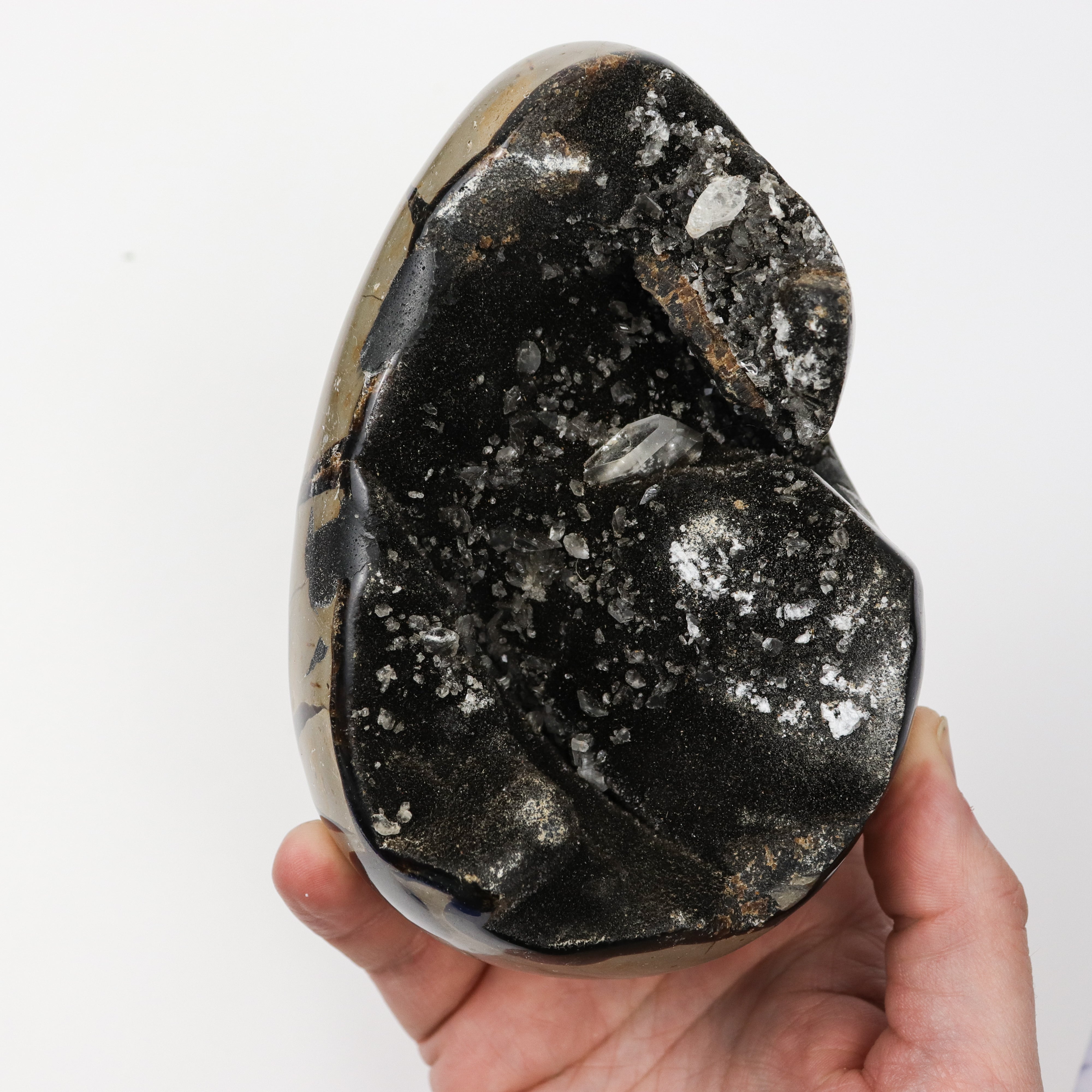 6 Inch Septarian Egg T98