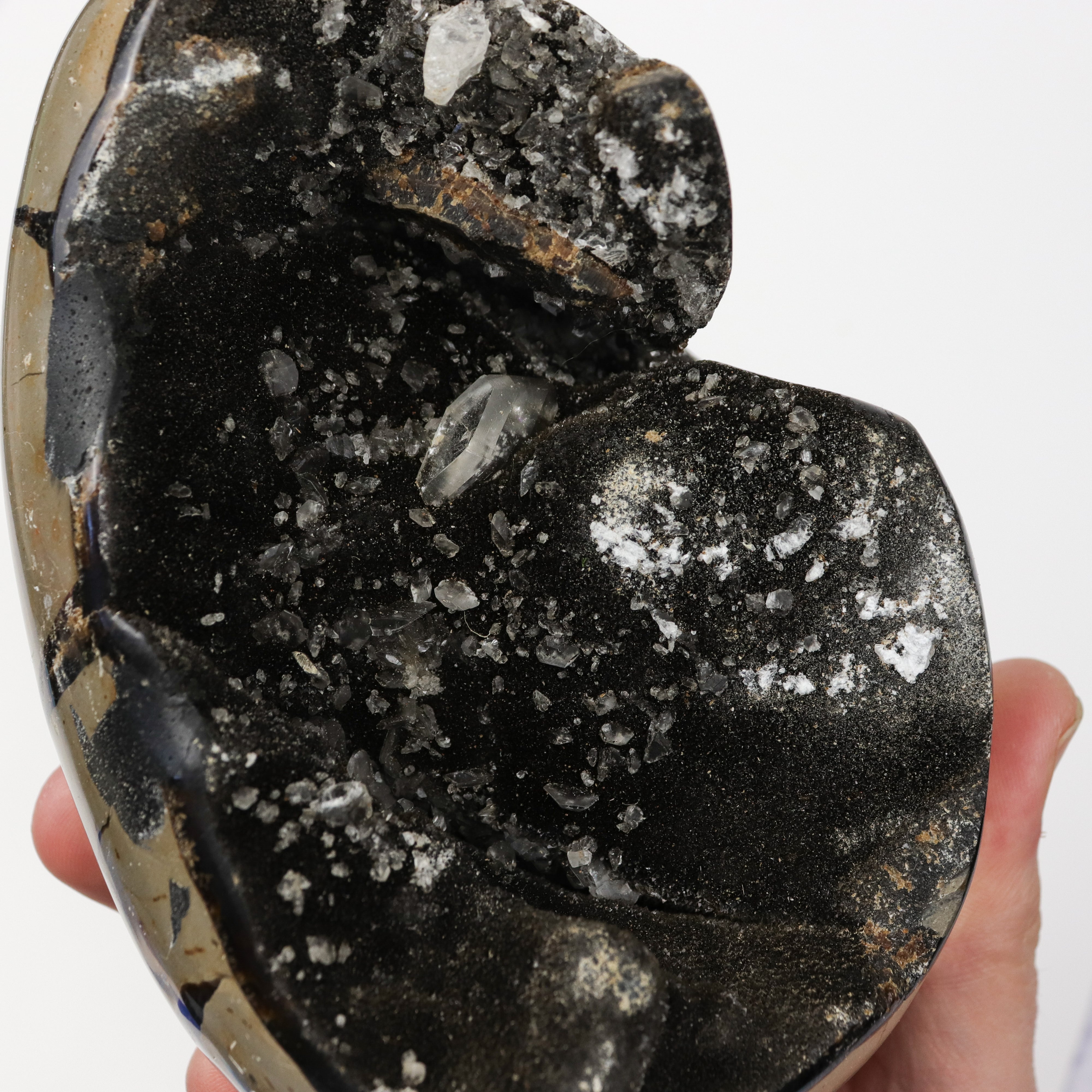 6 Inch Septarian Egg T98