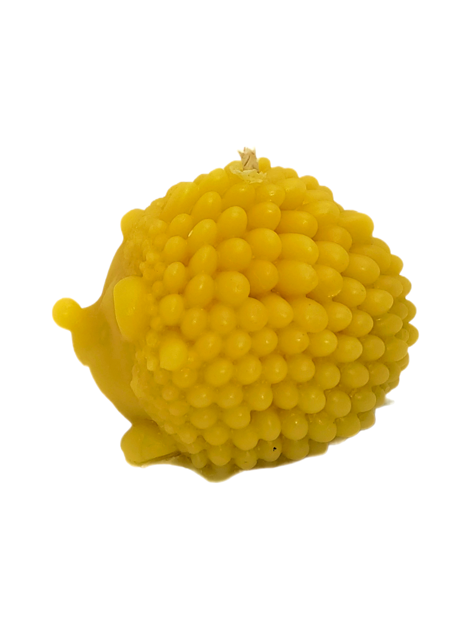 Hedgehog Beeswax Candle