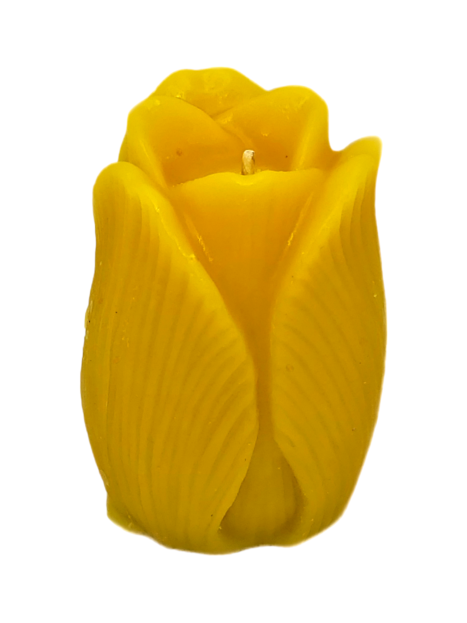 Tulip Beeswax Candle