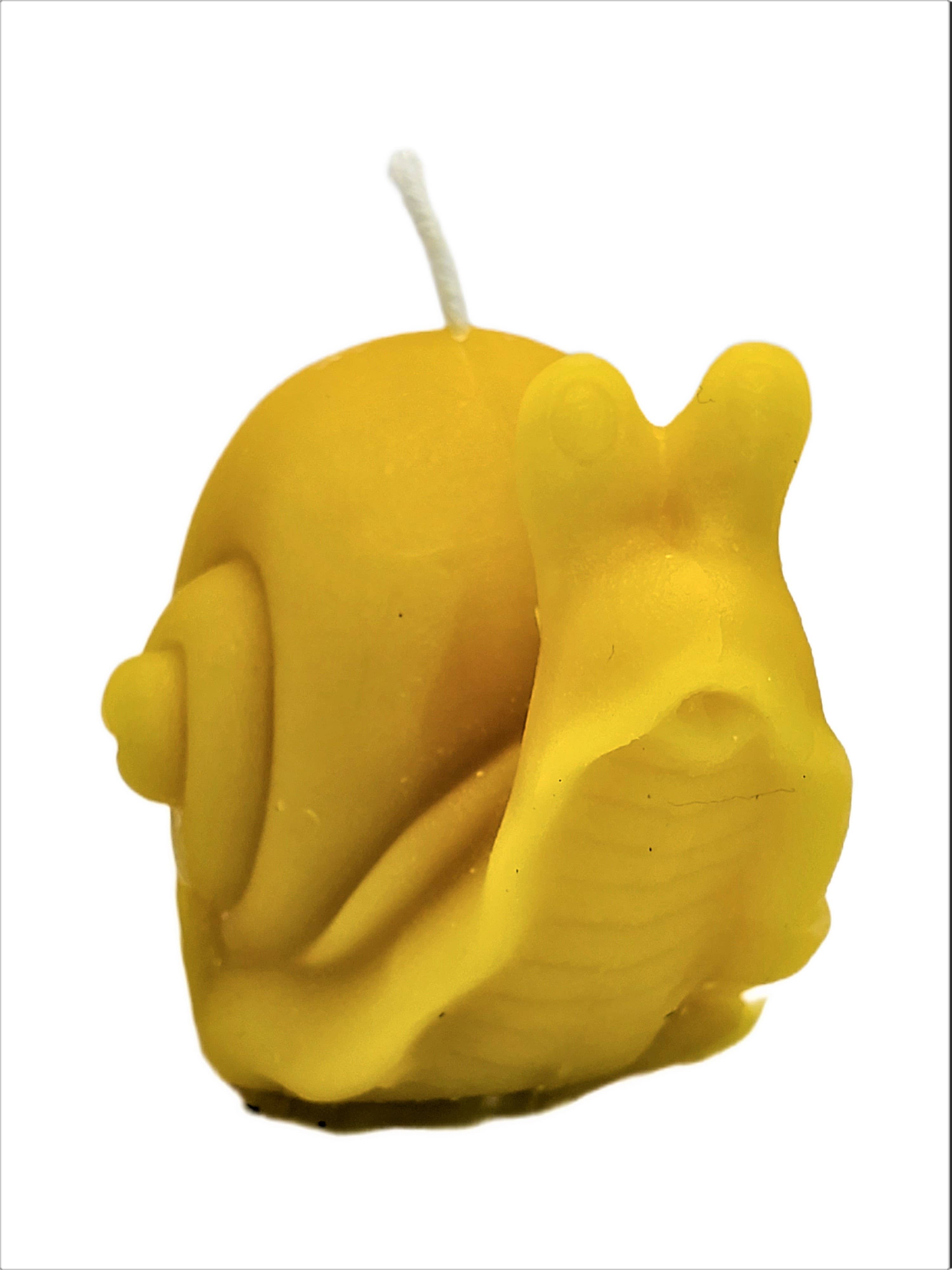 Snail Beeswax Candle