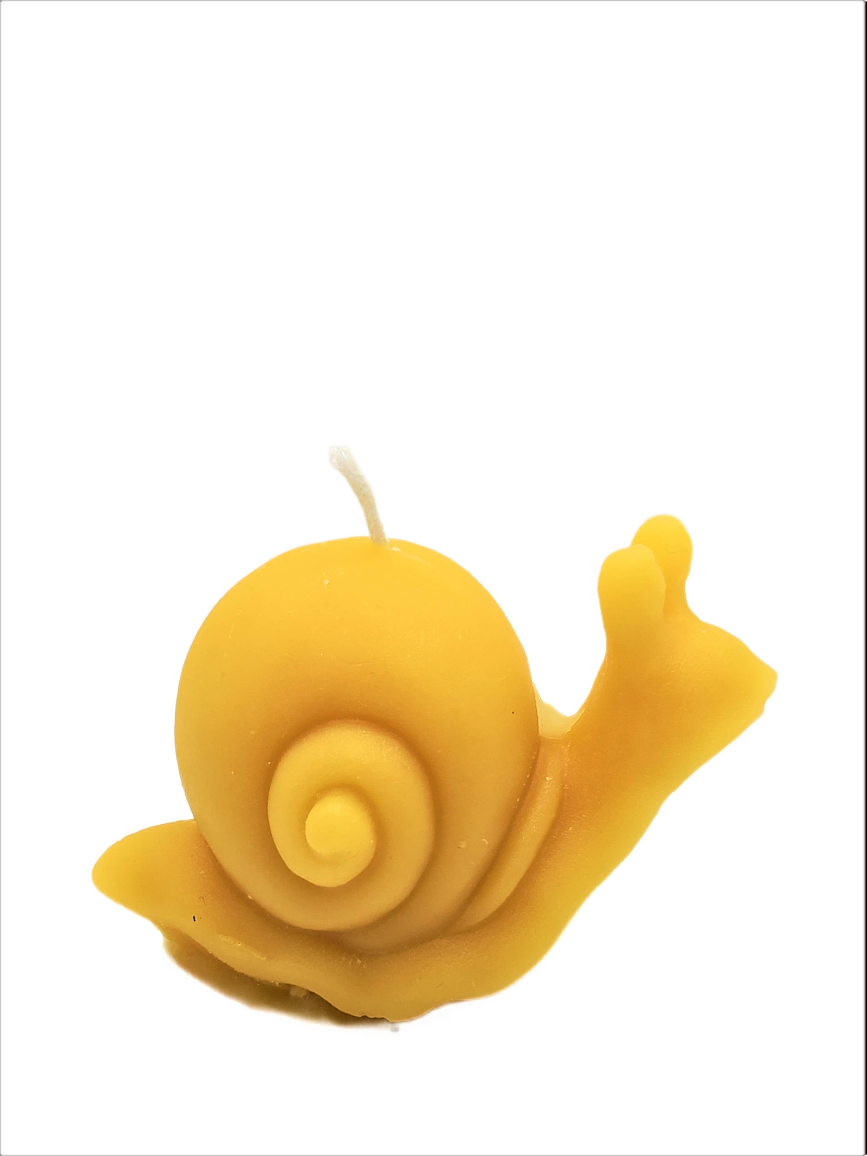 Snail Beeswax Candle