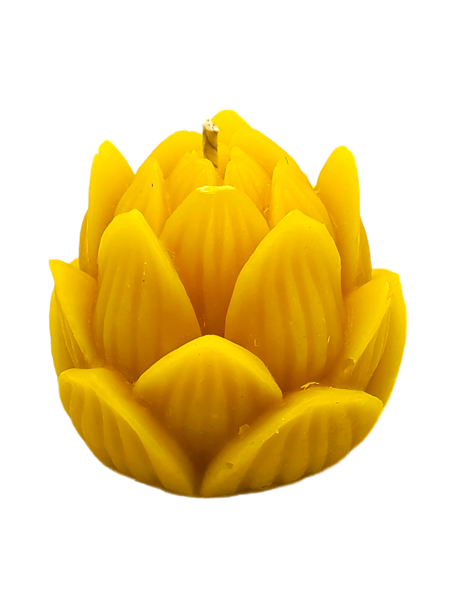 Lotus Beeswax Candle