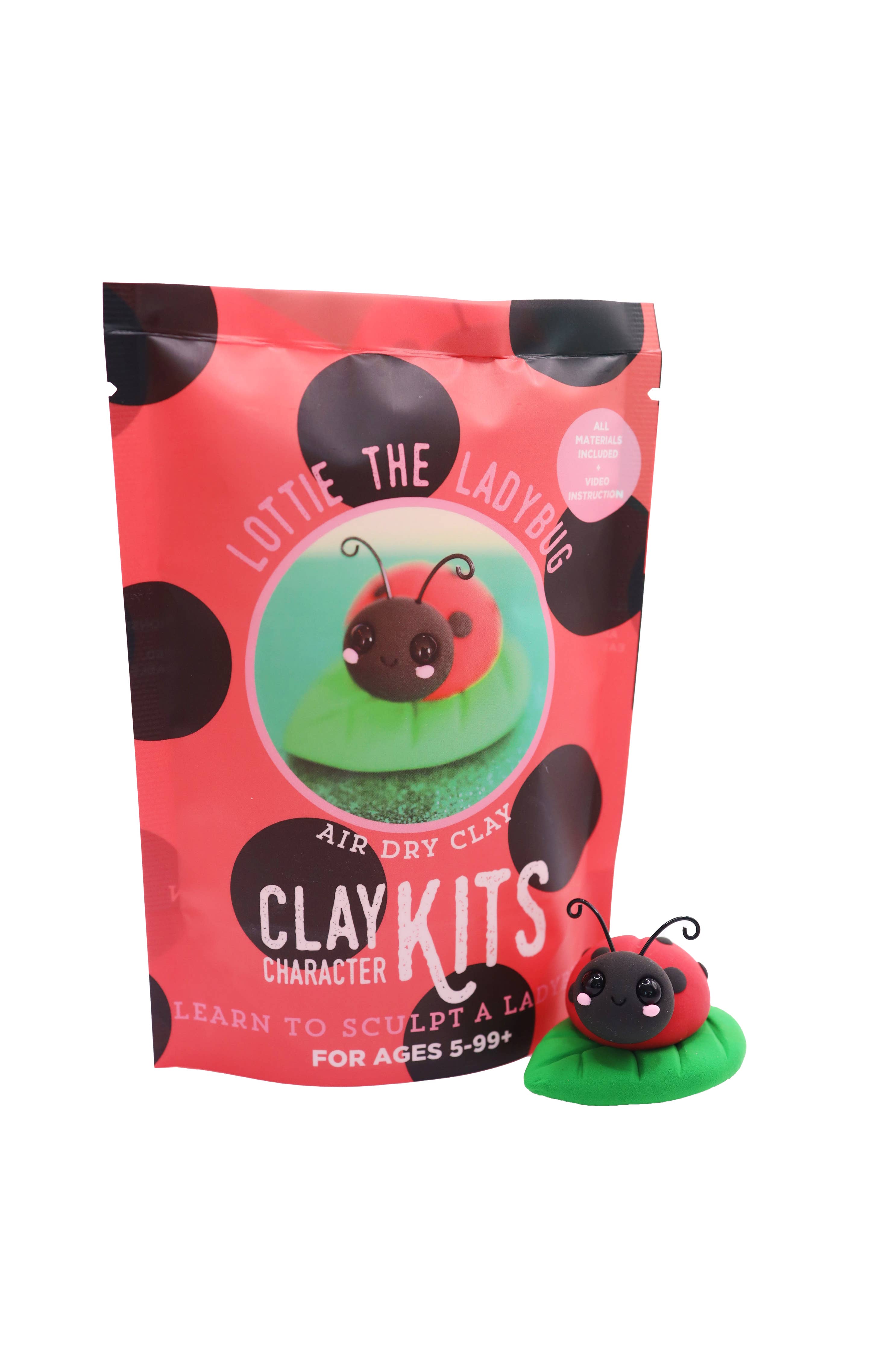 Lottie the Ladybug DIY Air Dry Clay Kit