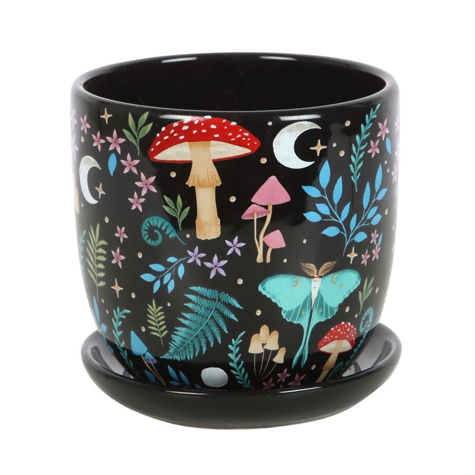 Dark Forest Boxed Planter