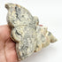 4.25 Inch Crazy Lace Agate Fairy P138