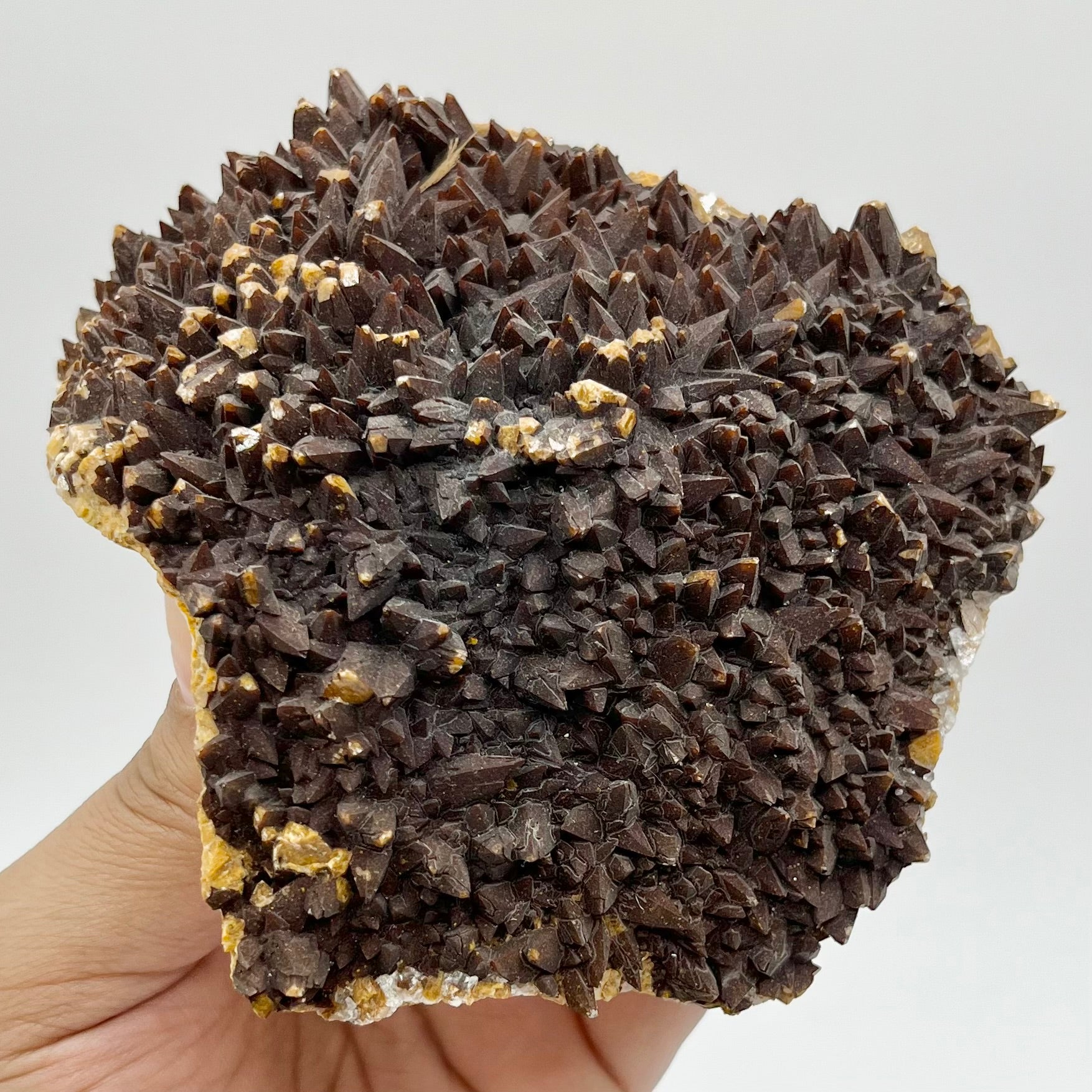 4.75 Inch Dogtooth Calcite Cluster C136
