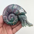 4.5 Inch Indian Agate Nautilus Carving N214