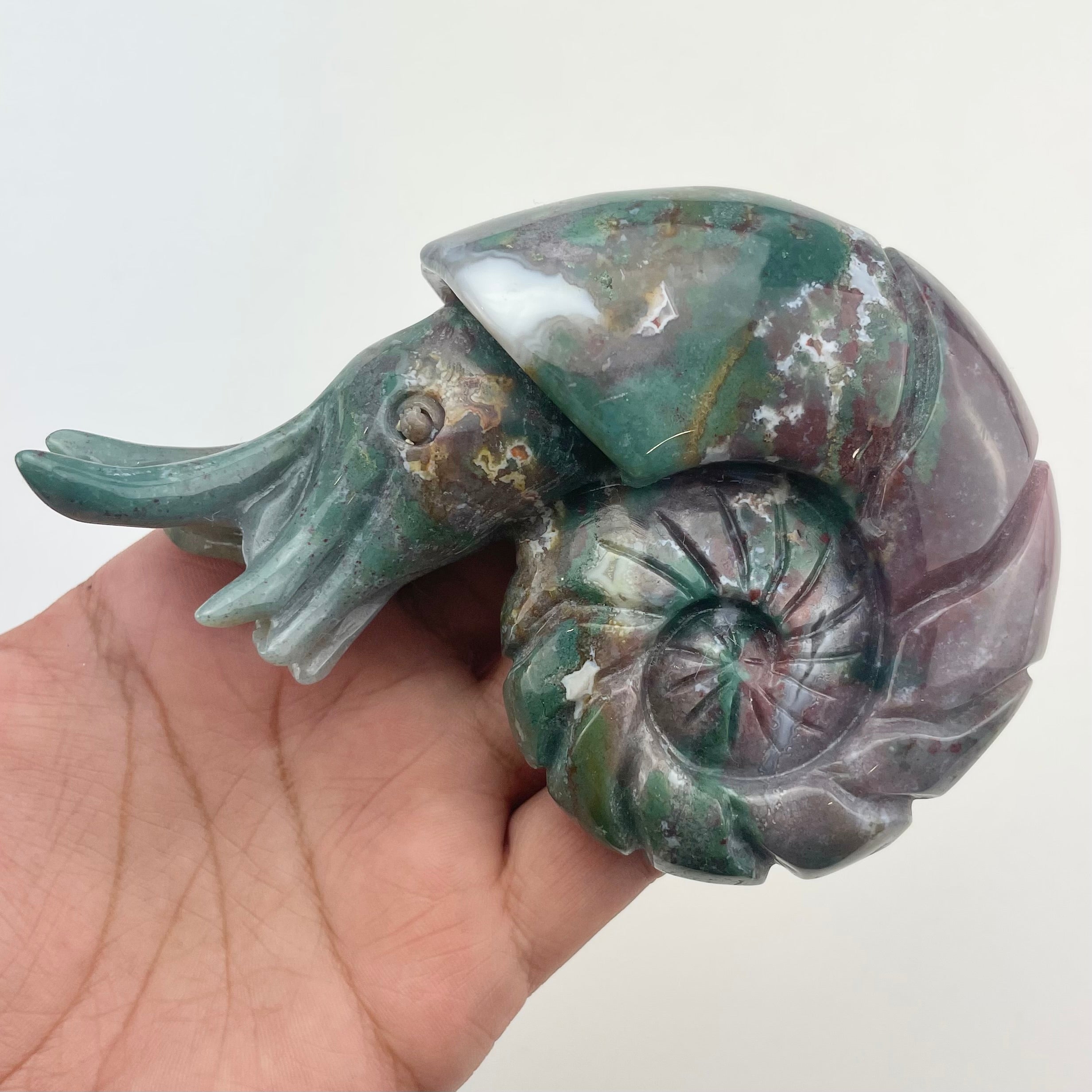 4.5 Inch Indian Agate Nautilus Carving N214