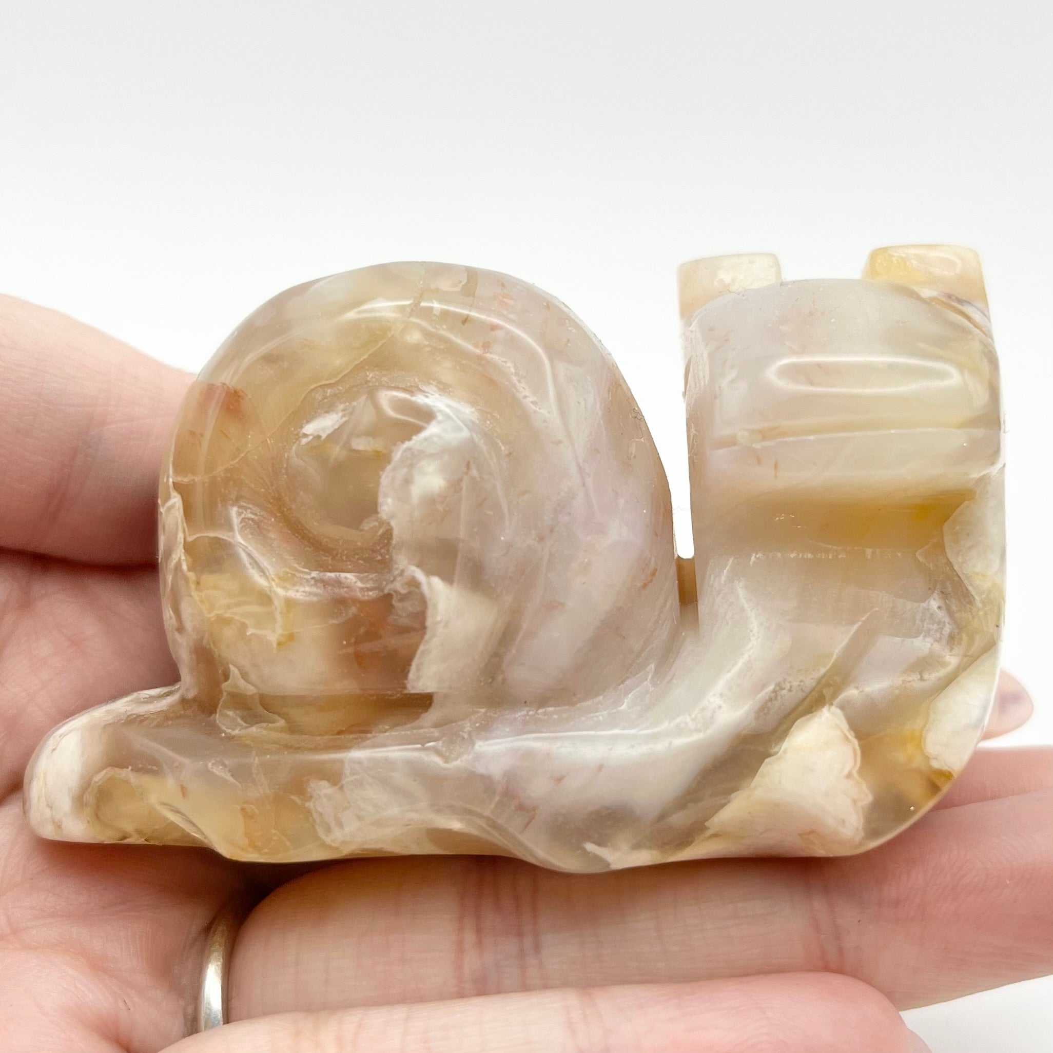 2.75 Inch Flower Agate Snail Z58