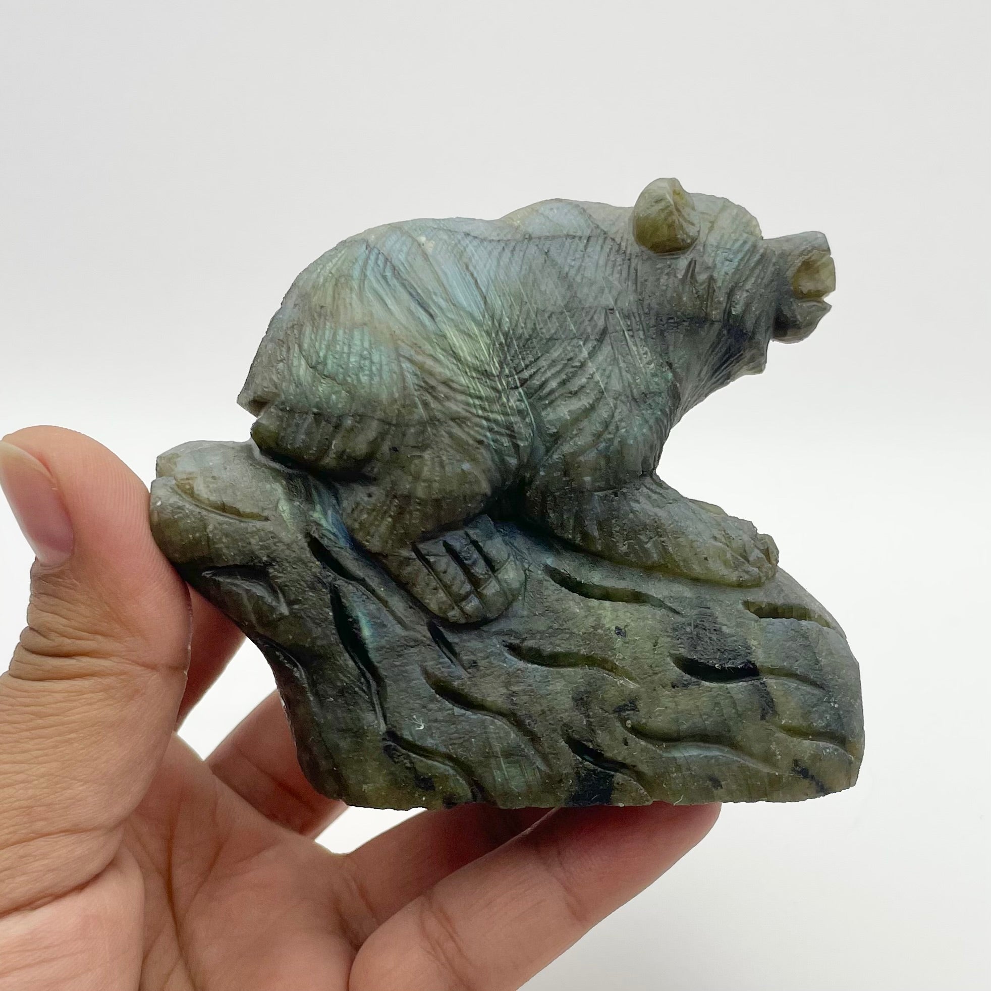 3.25 Inch Labradorite Bear Carving A198