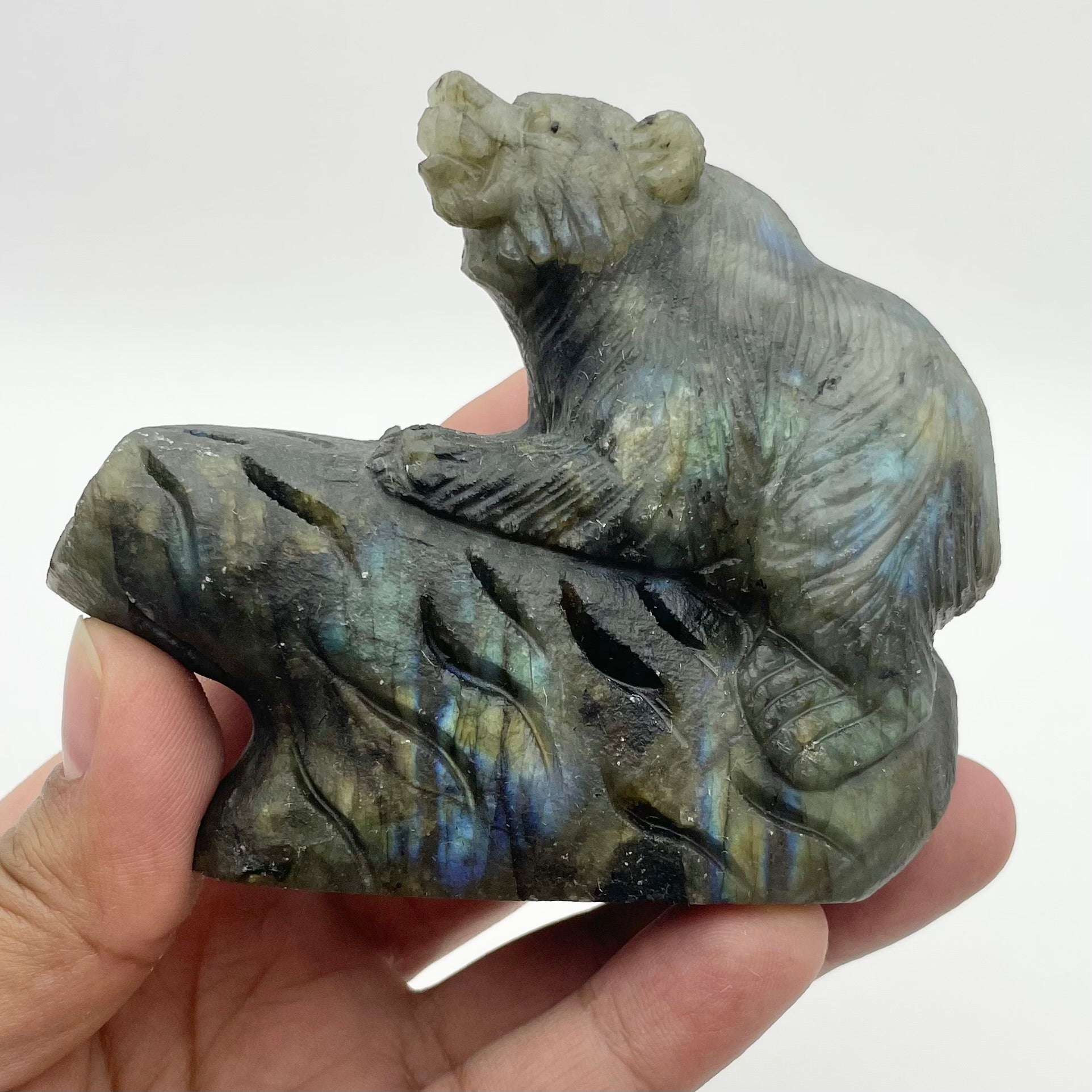 3.25 Inch Labradorite Bear Carving C191