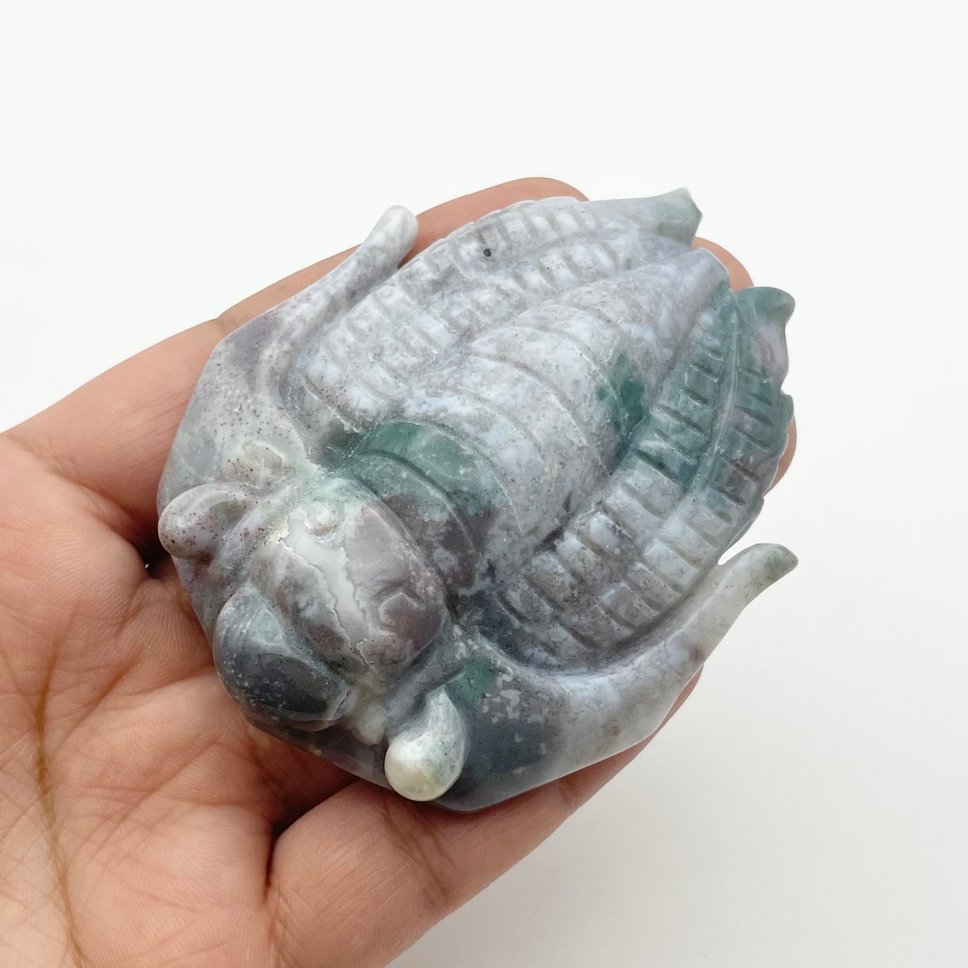 3 Inch Indian Agate Trilobite Carving H86