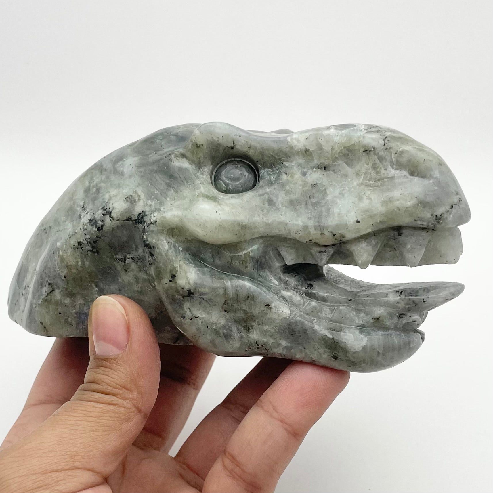 5.5 Inch T-Rex Head Carving T315