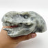 5.5 Inch T-Rex Head Carving T315