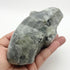 5.5 Inch T-Rex Head Carving T315